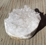 Clear Quartz Critter