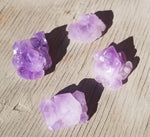 Natural raw Amethyst cluster teeth