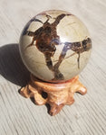 Natural polished Septarian sphere