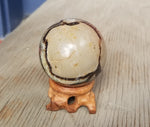 Natural polished Septarian sphere