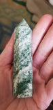 Natural polished Green Tree Agate point