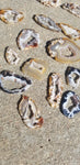 Natural raw Agate slices