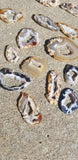 Natural raw Agate slices