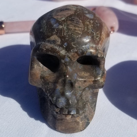 Natural polished carved Que Sera Skull