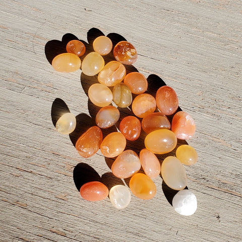 Natural polished red Carnelian jellybeans