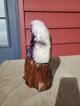 Natural polished Amethyst druse on stand