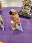 Natural Carved Parrot