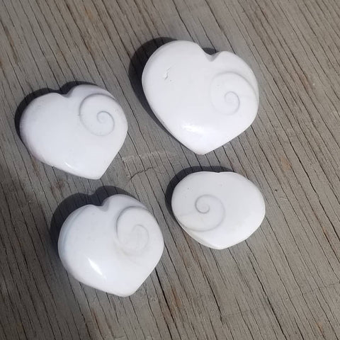 Natural polished Shiva shell heart palm stones- Medium