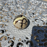 Natural polished Septarian spheres