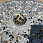 Natural polished Septarian spheres