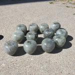 Natural polished mini apples