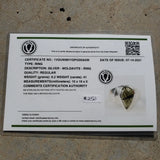 Natural polished faceted Moldavite ring