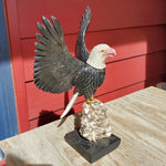 Natural carved Bald Eagle
