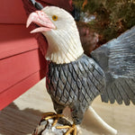 Natural carved Bald Eagle